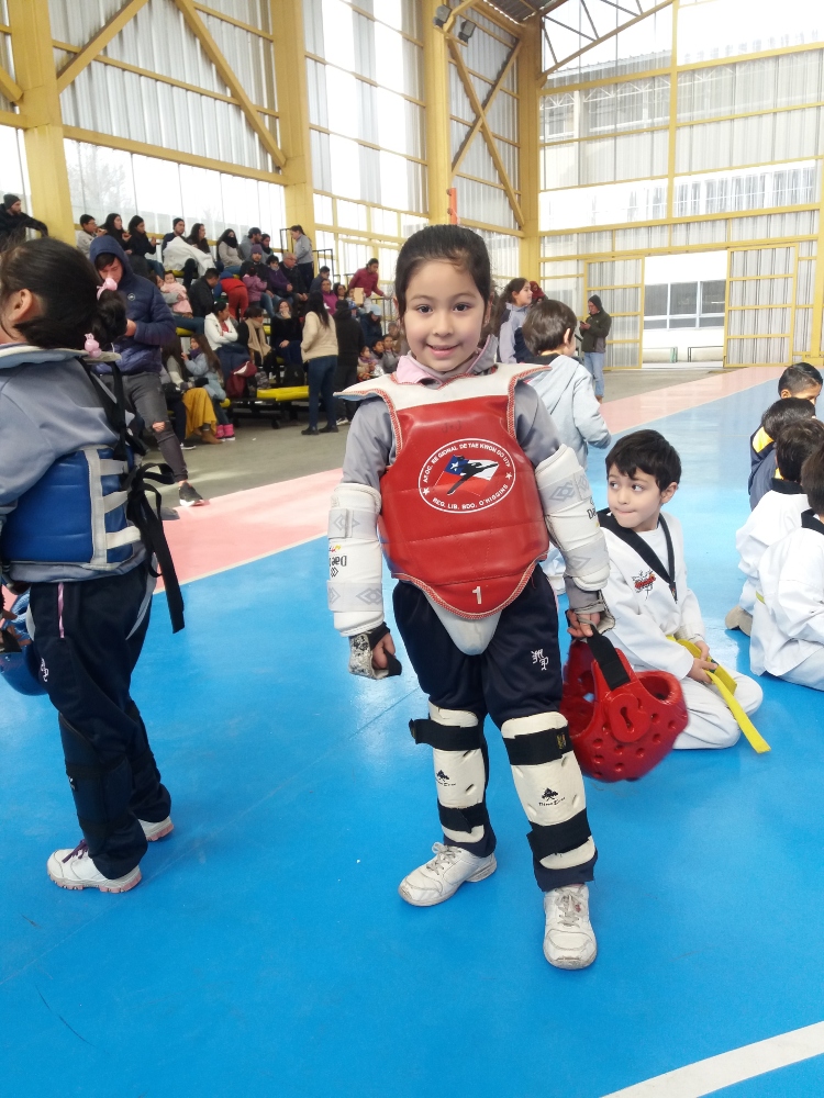  CAMPEONATO TAEKWONDO JULIO 2019