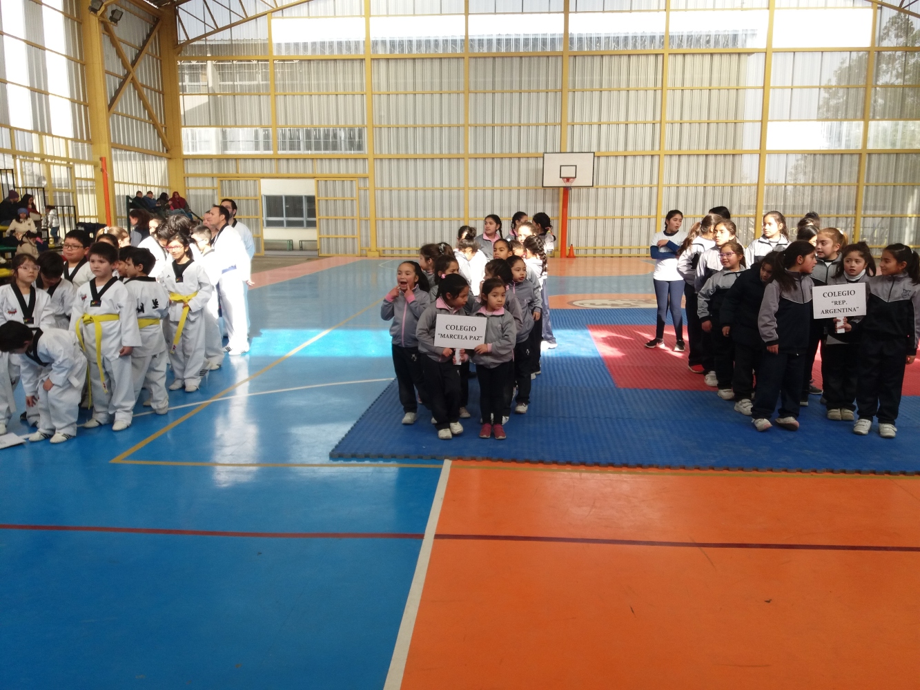  CAMPEONATO TAEWONDO JULIO 2019