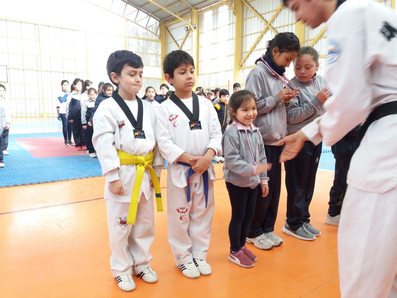  CAMPEONATO TAEWONDO JULIO 2019