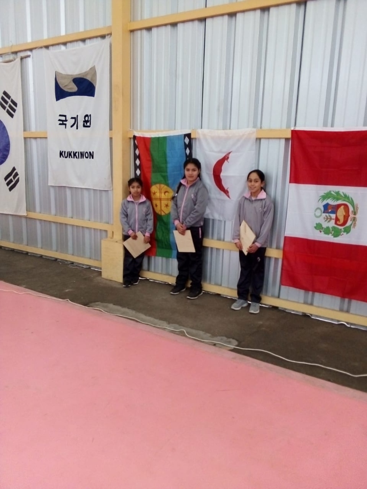  CAMPEONATO TAEWONDO JULIO 2019